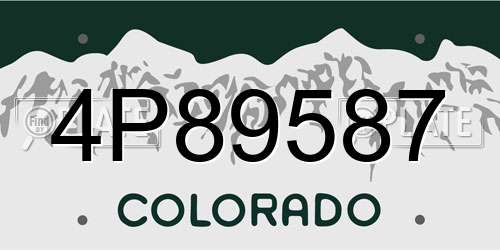 4P89587 Colorado License Plate