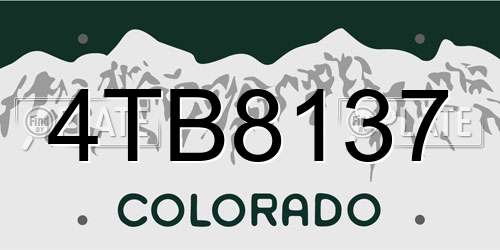 4TB8137 Colorado License Plate