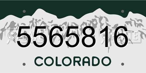 5565816 Colorado License Plate