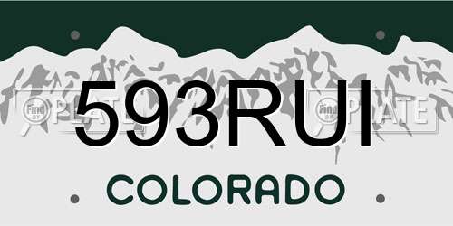 593RUI Colorado License Plate