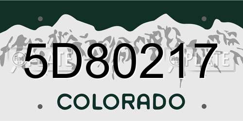 5D80217 Colorado License Plate