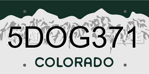 5DOG371 Colorado License Plate