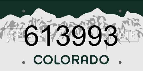 613993 Colorado License Plate