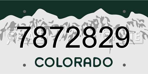 7872829 Colorado License Plate