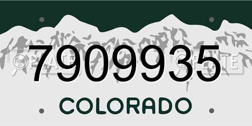 7909935 Colorado License Plate