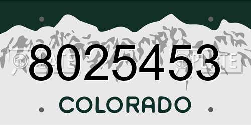 8025453 Colorado License Plate