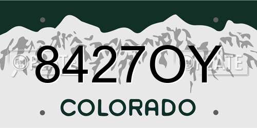 8427OY Colorado License Plate