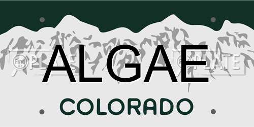 ALGAE Colorado License Plate