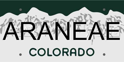 ARANEAE Colorado License Plate