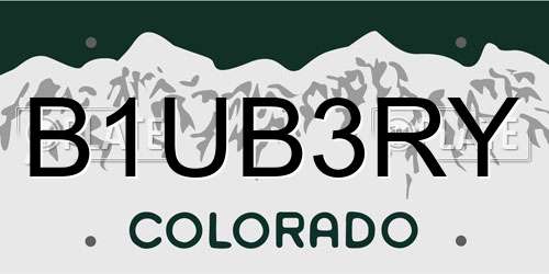 B1UB3RY Colorado License Plate