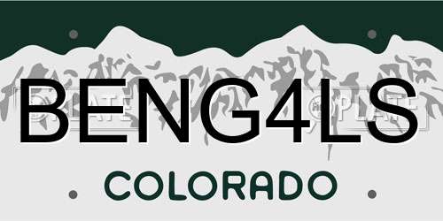 BENG4LS Colorado License Plate