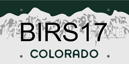 BIRS17 Colorado License Plate