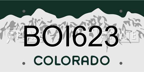 BOI623 Colorado License Plate