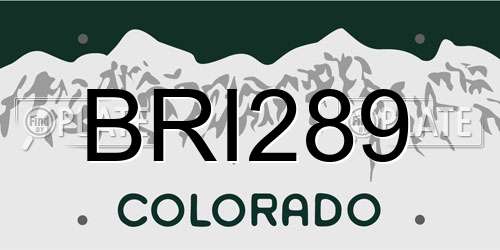 BRI289 Colorado License Plate