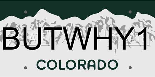 BUTWHY1 Colorado License Plate