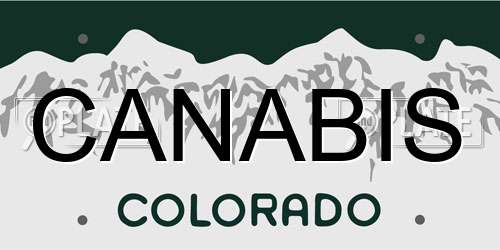 CANABIS Colorado License Plate