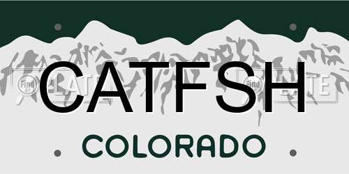 CATFSH Colorado License Plate
