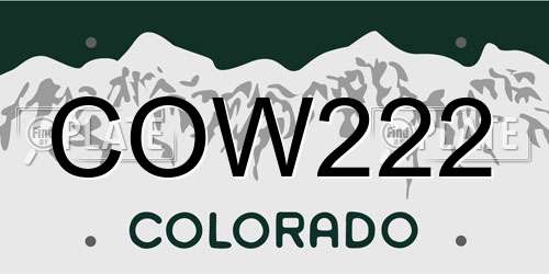 COW222 Colorado License Plate