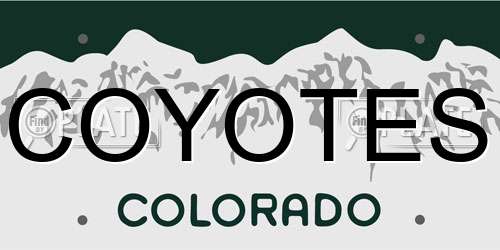 COYOTES Colorado License Plate