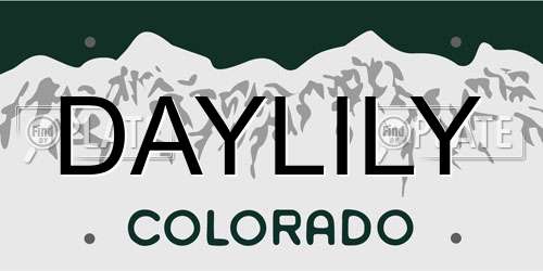 DAYLILY Colorado License Plate