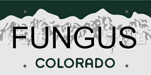 FUNGUS Colorado License Plate