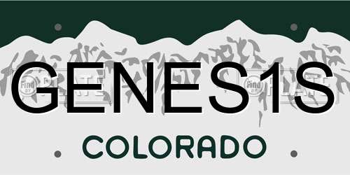 GENES1S Colorado License Plate
