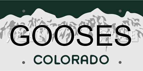 GOOSES Colorado License Plate
