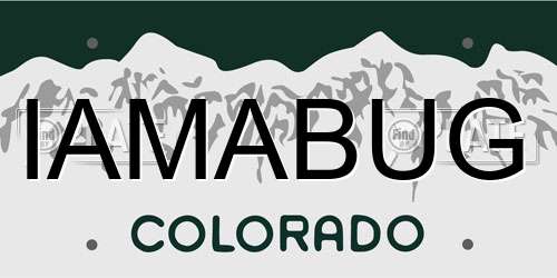 IAMABUG Colorado License Plate
