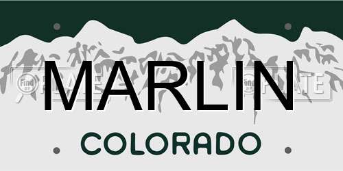 MARLIN Colorado License Plate