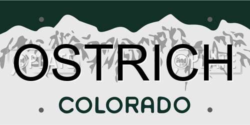 OSTRICH Colorado License Plate