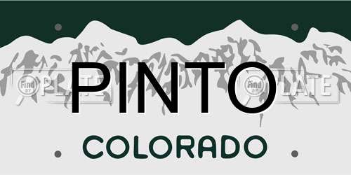 PINTO Colorado License Plate