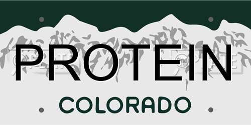 PROTEIN Colorado License Plate