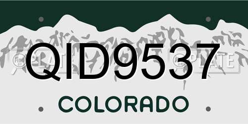 QID9537 Colorado License Plate