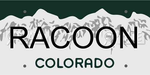 RACOON Colorado License Plate