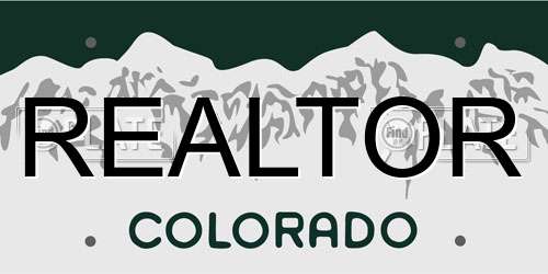 REALTOR Colorado License Plate