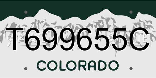 T699655C Colorado License Plate