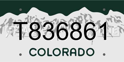 T836861 Colorado License Plate