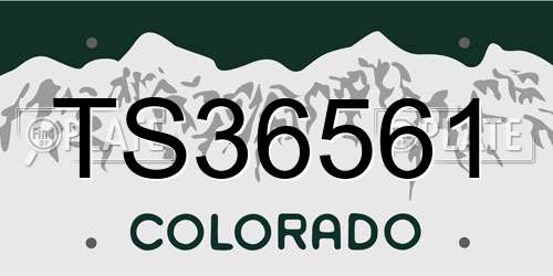 TS36561 Colorado License Plate