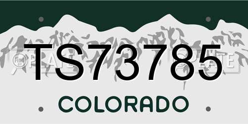 TS73785 Colorado License Plate