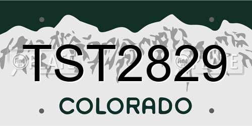 TST2829 Colorado License Plate