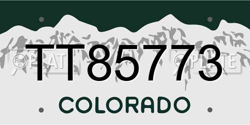 TT85773 Colorado License Plate