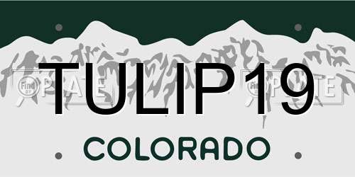 TULIP19 Colorado License Plate