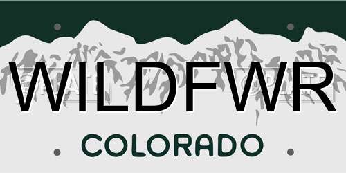 WILDFWR Colorado License Plate
