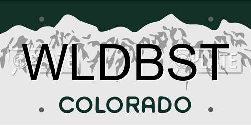 WLDBST Colorado License Plate