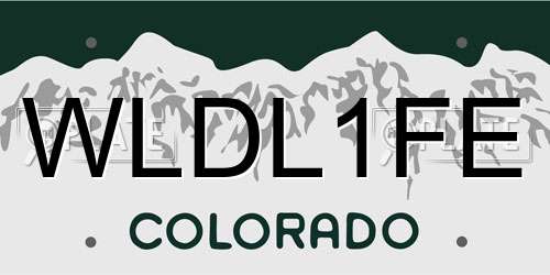 WLDL1FE Colorado License Plate