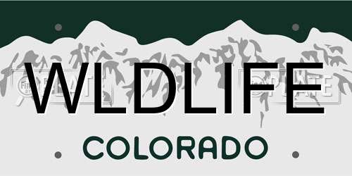 WLDLIFE Colorado License Plate