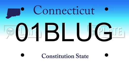 01BLUG Connecticut License Plate