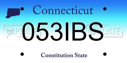 053IBS Connecticut License Plate