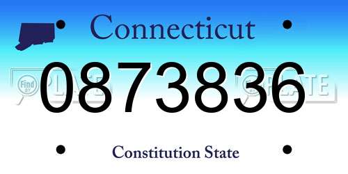 0873836 Connecticut License Plate