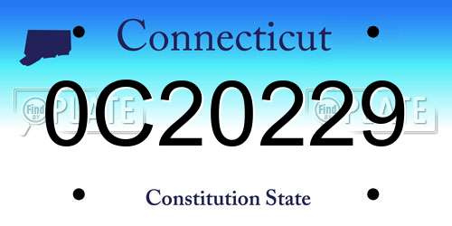 0C20229 Connecticut License Plate